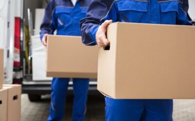 How Professional Movers Make Relocating Easy