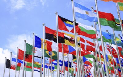 Don’t Be Intimidated By International Moves – Call Von Paris Today!