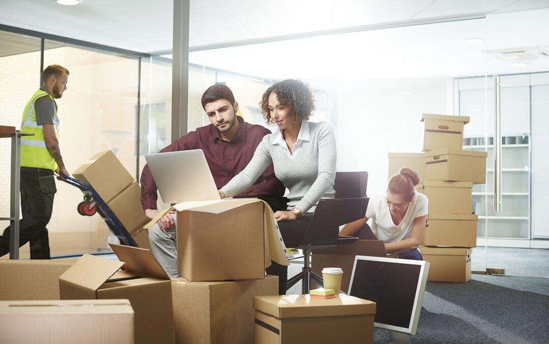 von paris moving and storage business moving companies relocate