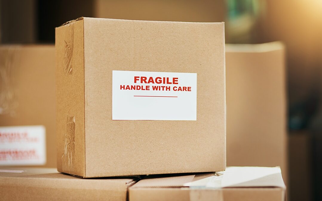 von paris moving and storage need storage during move