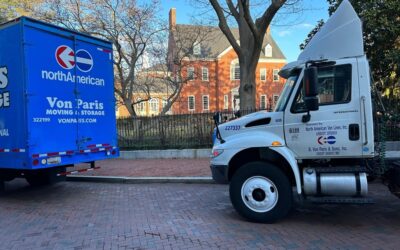Professional Movers vs. DIY Moving: Which Saves More Time and Money?